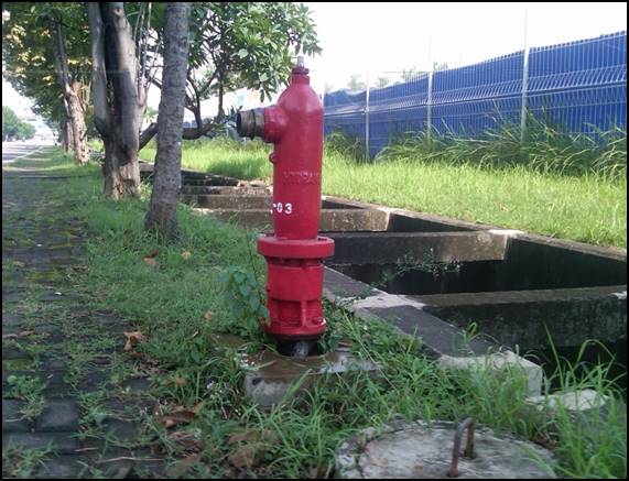 Pillar Hydrant